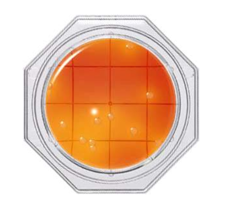 MSO Agar -Clean Stamp