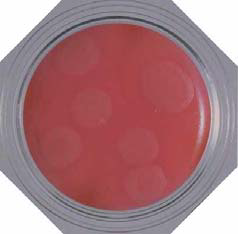 CEREUS Agar - Food Stamp